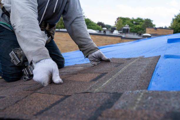 Best Commercial Roofing Services  in Clover Creek, WA