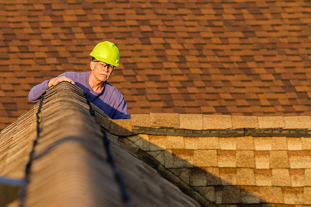 Best Metal Roofing Contractor  in Clover Creek, WA